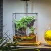 Close Geometric Glass Tin Terrarium With 3 Vents , 8x10" With Side Door, For Insects, Snail , Spider, Micro Landscape -with White Light Set