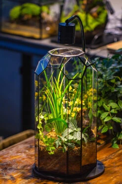 Vintage Tall Octagon Geometric Tin Glass Terrarium , 12.6" , Open, Suitable For Tall Plants, Orchid, Small Begonia Pitcher, Micro Landscape -with Warm Light Set -Ncyp Garden Sale Shop IMG 8725