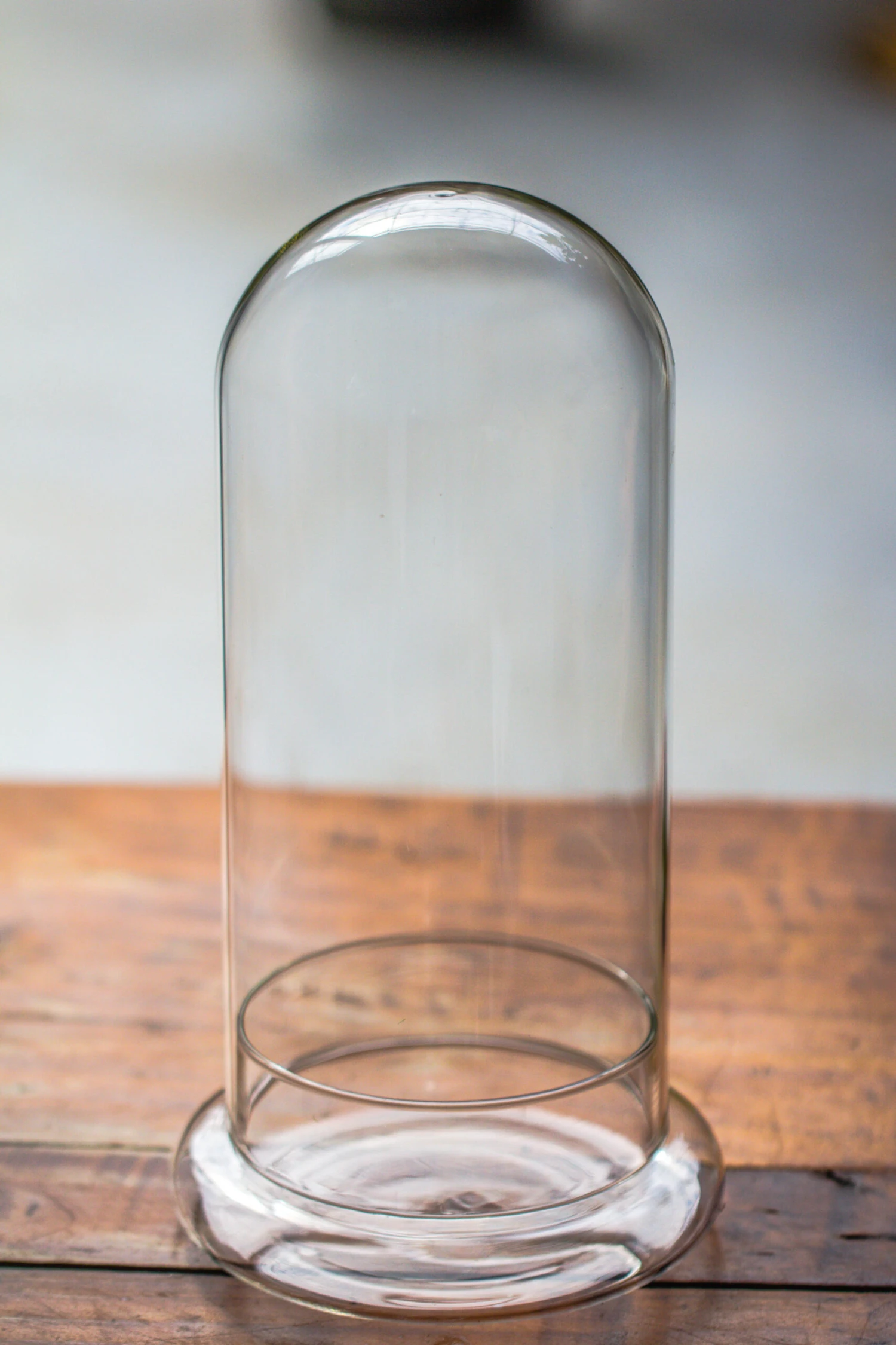 Round Glass Cloche Terrarium 12 Cm Diameter X 26cm Height With Matching Warm White Spot LED Grow Light And Base Set 8 Round Glass Cloche Terrarium 12 Cm Diameter X 26cm Height With Matching Warm White Spot LED Grow Light And Base Set - Image 8