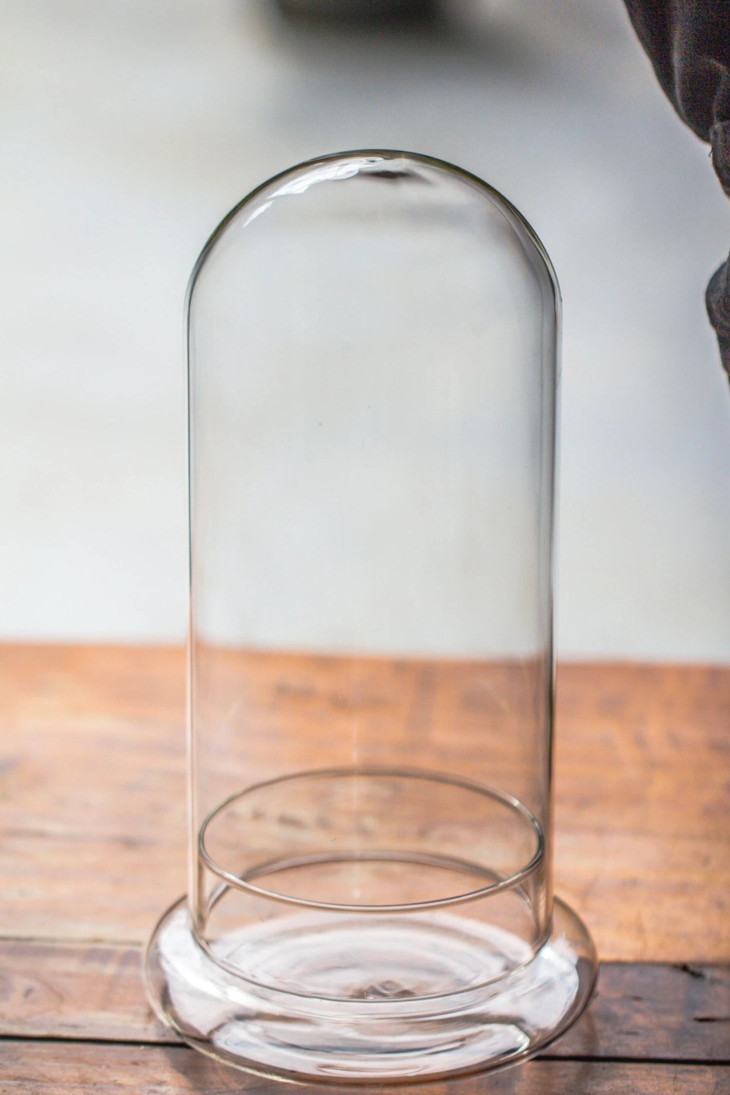 Round Glass Cloche Terrarium 12 Cm Diameter X 26cm Height With Matching Warm White Spot LED Grow Light And Base Set 4 Round Glass Cloche Terrarium 12 Cm Diameter X 26cm Height With Matching Warm White Spot LED Grow Light And Base Set - Image 4