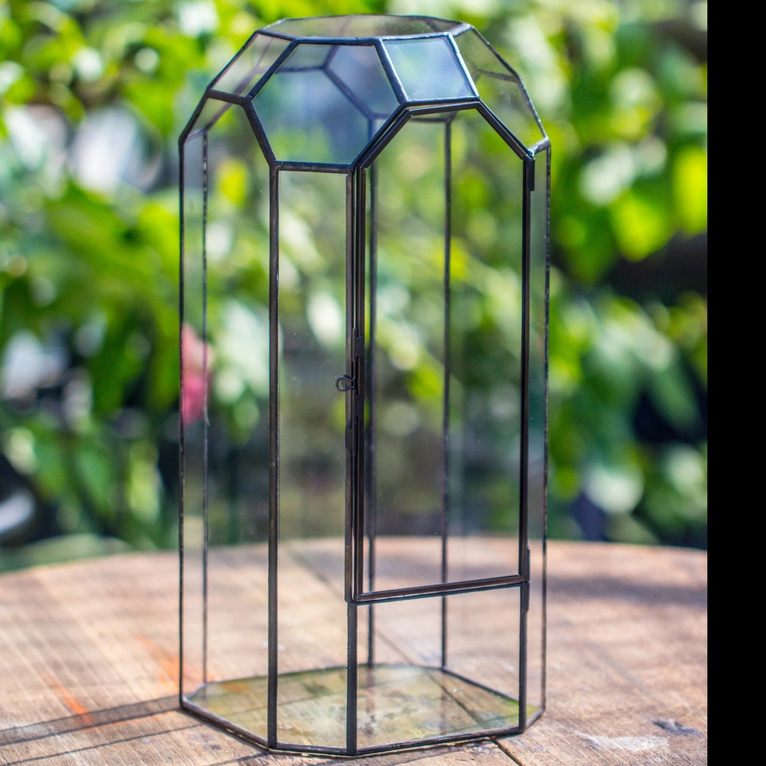 Vintage Tall Octagon Geometric Tin Glass Terrarium , 12.6" , Close, Suitable For Tall Plants, Orchid, Small Begonia Pitcher, Micro Landscape 1 Vintage Tall Octagon Geometric Tin Glass Terrarium , 12.6" , Close, Suitable For Tall Plants, Orchid, Small Begonia Pitcher, Micro Landscape