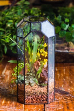 Vintage Tall Octagon Geometric Tin Glass Terrarium , 12.6" , Open, Suitable For Tall Plants, Orchid, Small Begonia Pitcher, Micro Landscape -with Warm Light Set -Ncyp Garden Sale Shop IMG 8852