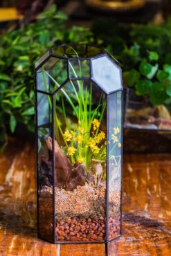 Vintage Tall Octagon Geometric Tin Glass Terrarium , 12.6" , Open, Suitable For Tall Plants, Orchid, Small Begonia Pitcher, Micro Landscape -with Warm Light Set -Ncyp Garden Sale Shop IMG 8854