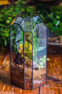 Vintage Tall Octagon Geometric Tin Glass Terrarium , 12.6" , Open, Suitable For Tall Plants, Orchid, Small Begonia Pitcher, Micro Landscape -with Warm Light Set -Ncyp Garden Sale Shop IMG 8855