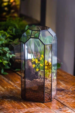 Vintage Tall Octagon Geometric Tin Glass Terrarium , 12.6" , Open, Suitable For Tall Plants, Orchid, Small Begonia Pitcher, Micro Landscape -with White Light Set -Ncyp Garden Sale Shop IMG 8856