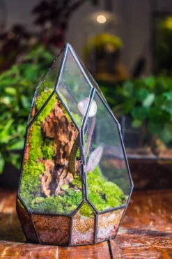 Cliff Terrarium Building DIY Set: Live Moss Cliff TearDrop Close Terrarium With Matching LED Grow Light And Base 33 Cliff Terrarium Building DIY Set: Live Moss Cliff TearDrop Close Terrarium With Matching LED Grow Light And Base -Ncyp Garden Sale Shop IMG 8868