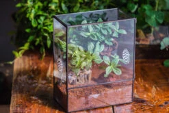Close Geometric Glass Tin Terrarium With 3 Vents , 8x10" With Side Door, For Insects, Snail , Spider, Micro Landscape -with Warm Light Set -Ncyp Garden Sale Shop IMG 8878 12d0204b 293d 4546 af9a 124e712c008f