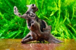 Driftwood For Moss Terrarium, Miniature, Micro Landscape,T8017 -Ncyp Garden Sale Shop IMG 8879 ba899ccf 435b 482f b07f 891f2004beb9