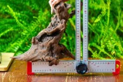 Driftwood For Moss Terrarium, Miniature, Micro Landscape,T8017 -Ncyp Garden Sale Shop IMG 8881 c3663aa4 1732 4eef a790 324763ae49b3