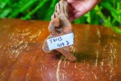 Driftwood For Moss Terrarium, Miniature, Micro Landscape,T8015 -Ncyp Garden Sale Shop IMG 8883 7e43de40 1d3c 4b8e 9d18 da2ed878f6d4