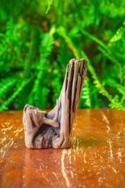 Driftwood For Moss Terrarium, Miniature, Micro Landscape,T8015 -Ncyp Garden Sale Shop IMG 8884 1774818f eb2f 461b 9488 20a2690cc411
