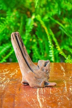 Driftwood For Moss Terrarium, Miniature, Micro Landscape,T8015 -Ncyp Garden Sale Shop IMG 8886 aa041bea a200 4aea 8a4f b7aaa9b244f3