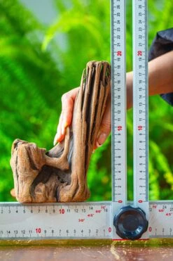 Driftwood For Moss Terrarium, Miniature, Micro Landscape,T8015 -Ncyp Garden Sale Shop IMG 8888