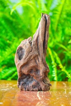 Driftwood For Moss Terrarium, Miniature, Micro Landscape,T8010 -Ncyp Garden Sale Shop IMG 8892 70ddb64a 5109 453a 900a 5837d9692f9e