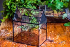 Handmade Terrarium With Light, House Shape Glass Geometric Terrarium With LED Light Set -Ncyp Garden Sale Shop IMG 8893