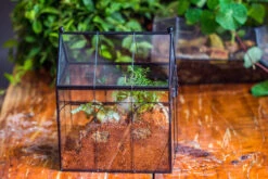 Handmade Terrarium With Light, House Shape Glass Geometric Terrarium With LED Light Set -Ncyp Garden Sale Shop IMG 8894 37c4d938 5ddf 4a46 b899 b2faaf48323a