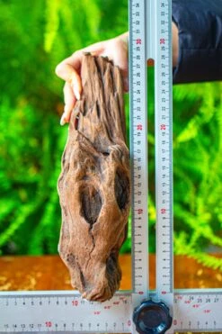 Driftwood For Moss Terrarium, Miniature, Micro Landscape,T8010 -Ncyp Garden Sale Shop IMG 8894 7e536a20 5486 4b12 b74b 0c47d54b40d9