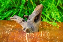 Driftwood For Moss Terrarium, Miniature, Micro Landscape,T8014 -Ncyp Garden Sale Shop IMG 8896