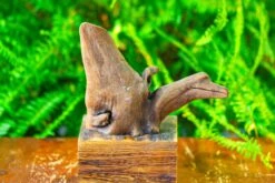 Driftwood For Moss Terrarium, Miniature, Micro Landscape,T8014 -Ncyp Garden Sale Shop IMG 8898