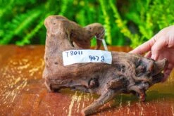 Driftwood For Moss Terrarium, Miniature, Micro Landscape,T8011 -Ncyp Garden Sale Shop IMG 8916 2