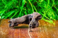 Driftwood For Moss Terrarium, Miniature, Micro Landscape,T8011 -Ncyp Garden Sale Shop IMG 8917