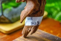 Driftwood For Moss Terrarium, Miniature, Micro Landscape,T8018 -Ncyp Garden Sale Shop IMG 8924 d42a602a b662 48f6 a743 5fb067712466