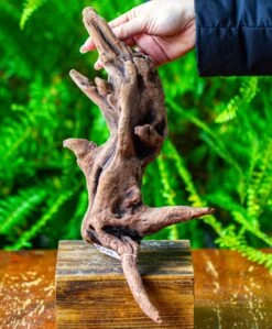 Driftwood For Moss Terrarium, Miniature, Micro Landscape,T8018 -Ncyp Garden Sale Shop IMG 8925 2