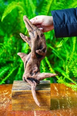 Driftwood For Moss Terrarium, Miniature, Micro Landscape,T8018 -Ncyp Garden Sale Shop IMG 8926 ee20568c f9cb 4441 a4a3 f5aa495a7c59