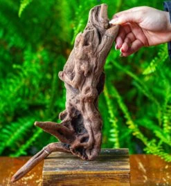 Driftwood For Moss Terrarium, Miniature, Micro Landscape,T8018
