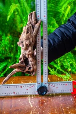 Driftwood For Moss Terrarium, Miniature, Micro Landscape,T8018 -Ncyp Garden Sale Shop IMG 8930 dda1d895 e368 4ad9 9023 764f97fba828