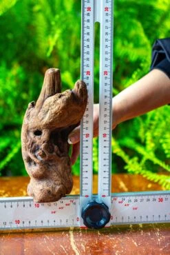 Driftwood For Moss Terrarium, Miniature, Micro Landscape,T8006 -Ncyp Garden Sale Shop IMG 8936 08370f57 82ab 49ac adf9 4003790df233