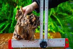 Driftwood For Moss Terrarium, Miniature, Micro Landscape,T8009 -Ncyp Garden Sale Shop IMG 8957