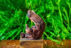 Driftwood For Moss Terrarium, Miniature, Micro Landscape,T8012 -Ncyp Garden Sale Shop IMG 8963