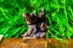 Driftwood For Moss Terrarium, Miniature, Micro Landscape,T8012 -Ncyp Garden Sale Shop IMG 8964