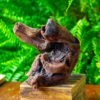 Driftwood For Moss Terrarium, Miniature, Micro Landscape,T8012