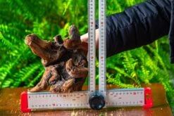 Driftwood For Moss Terrarium, Miniature, Micro Landscape,T8012 -Ncyp Garden Sale Shop IMG 8969