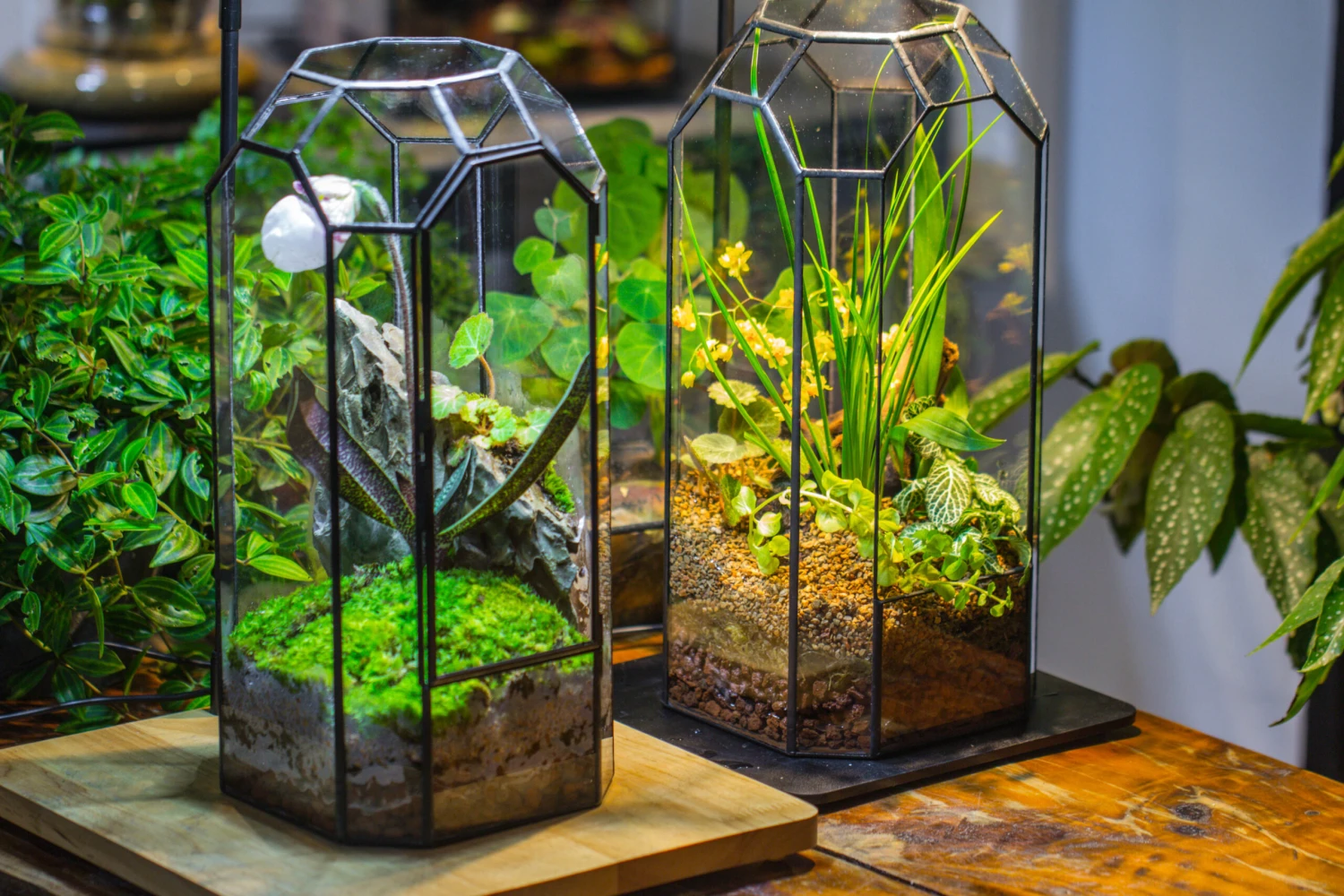 Vintage Tall Octagon Geometric Tin Glass Terrarium , 12.6" , Close, Suitable For Tall Plants, Orchid, Small Begonia Pitcher, Micro Landscape -with White Light Set 12 Vintage Tall Octagon Geometric Tin Glass Terrarium , 12.6" , Close, Suitable For Tall Plants, Orchid, Small Begonia Pitcher, Micro Landscape -with White Light Set - Image 12