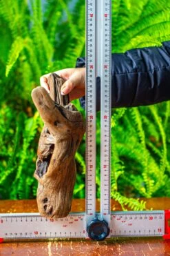 Driftwood For Moss Terrarium, Miniature, Micro Landscape,T8007 -Ncyp Garden Sale Shop IMG 8992 3e86f04a 34f1 4f98 8325 9385d0984c8f