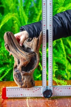 Driftwood For Moss Terrarium, Miniature, Micro Landscape,T8007 -Ncyp Garden Sale Shop IMG 8993 090b700e 3c67 40ff b8e8 d6bd48ac68a3