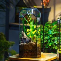 Vintage Tall Octagon Geometric Tin Glass Terrarium , 12.6" , Open, Suitable For Tall Plants, Orchid, Small Begonia Pitcher, Micro Landscape -with White Light Set