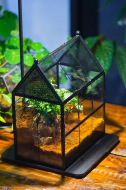 Handmade Terrarium With Light, House Shape Glass Geometric Terrarium With LED Light Set -Ncyp Garden Sale Shop IMG 9014 f881dad1 8fd5 4d66 8d62 a408fabd73d2