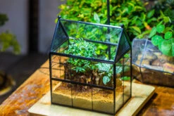 Handmade Terrarium With Light, House Shape Glass Geometric Terrarium With LED Light Set -Ncyp Garden Sale Shop IMG 9025 5b6199d3 edff 44f0 a438 2034872befdb