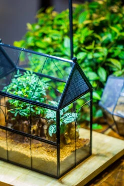 Handmade Terrarium With Light, House Shape Glass Geometric Terrarium With LED Light Set -Ncyp Garden Sale Shop IMG 9028
