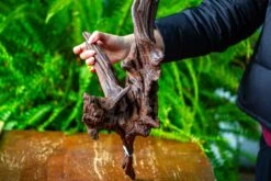 Driftwood For Moss Terrarium, Miniature, Micro Landscape, H8002 -Ncyp Garden Sale Shop IMG 9028 c859b645 5c1e 49e1 9100 f3c09ef5ab52