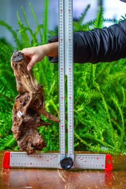 Driftwood For Moss Terrarium, Miniature, Micro Landscape, H8006 -Ncyp Garden Sale Shop IMG 9045 6db3d639 83e7 4b02 82a3 26cc1a846733