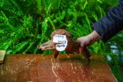 Driftwood For Moss Terrarium, Miniature, Micro Landscape, H8004 -Ncyp Garden Sale Shop IMG 9055 1e05d25f 986e 4e9d b91c 8666eb790f28