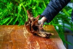 Driftwood For Moss Terrarium, Miniature, Micro Landscape, H8004 -Ncyp Garden Sale Shop IMG 9060 a6485a07 c1d0 4f51 90fe 22c664f0ead7