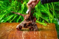 Driftwood For Moss Terrarium, Miniature, Micro Landscape, H8003 -Ncyp Garden Sale Shop IMG 9064 81f4f3bf bffb 4629 9bac 2258196d7cf5