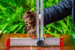 Driftwood For Moss Terrarium, Miniature, Micro Landscape, H8003 -Ncyp Garden Sale Shop IMG 9071 8d56e794 a6fd 4945 9d6c a69fd183667b