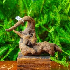 Driftwood For Moss Terrarium, Miniature, Micro Landscape,TS005